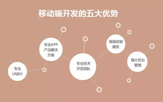 直擊軟件外包痛點，中科天基成就卓越服務