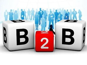 京東B2B電子銷售 為何能在阿里失手處成功？